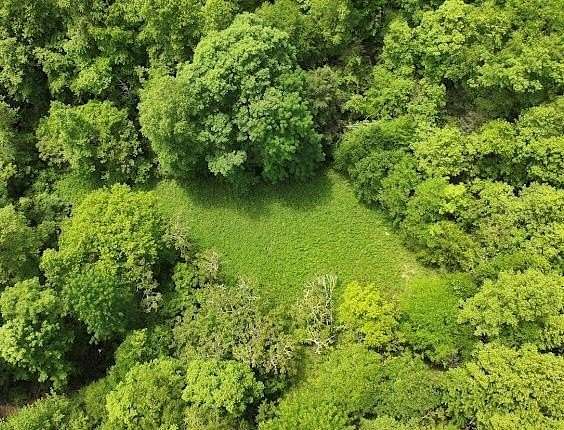 160 Acres of Recreational Land for Sale in Castlewood, Virginia