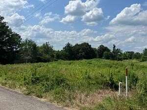 Land for Sale in Plainview, Arkansas