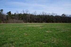 15.5 Acres of Land for Sale in Russellville, Arkansas