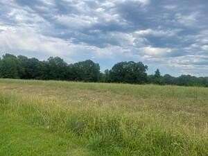 5 Acres of Land for Sale in Clarksville, Arkansas