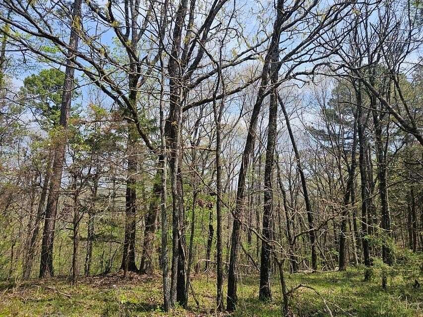 19.8 Acres of Recreational Land for Sale in London, Arkansas