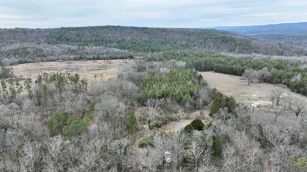 20 Acres of Recreational Land for Sale in Lamar, Arkansas