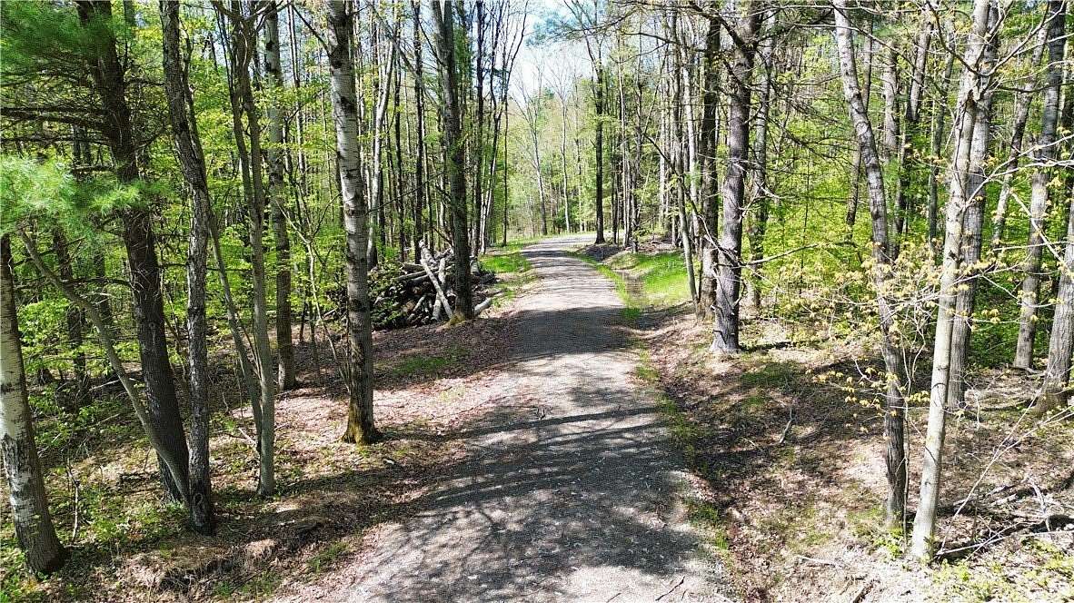 10 Acres of Recreational Land for Sale in Afton, New York