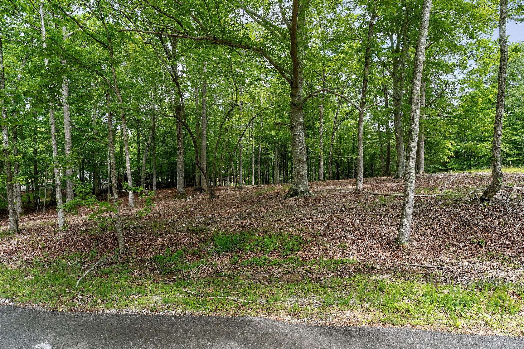 0.41 Acres of Residential Land for Sale in Smithville, Tennessee