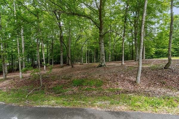 0.41 Acres of Residential Land for Sale in Smithville, Tennessee