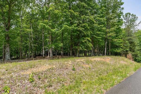 0.41 Acres of Residential Land for Sale in Smithville, Tennessee