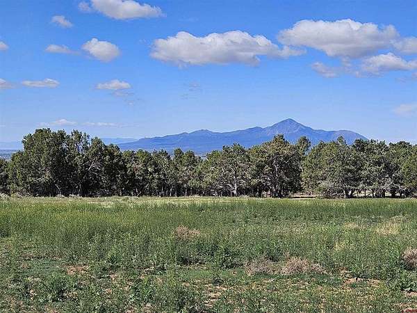 10.2 Acres of Land for Sale in Dolores, Colorado
