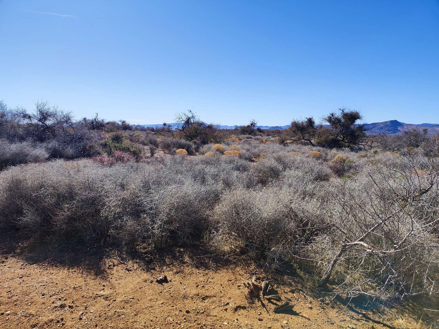 0.06 Acres of Residential Land for Sale in Chloride, Arizona