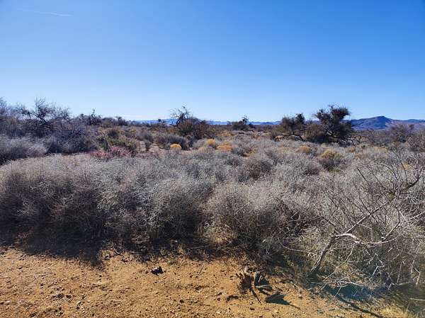 0.06 Acres of Residential Land for Sale in Chloride, Arizona