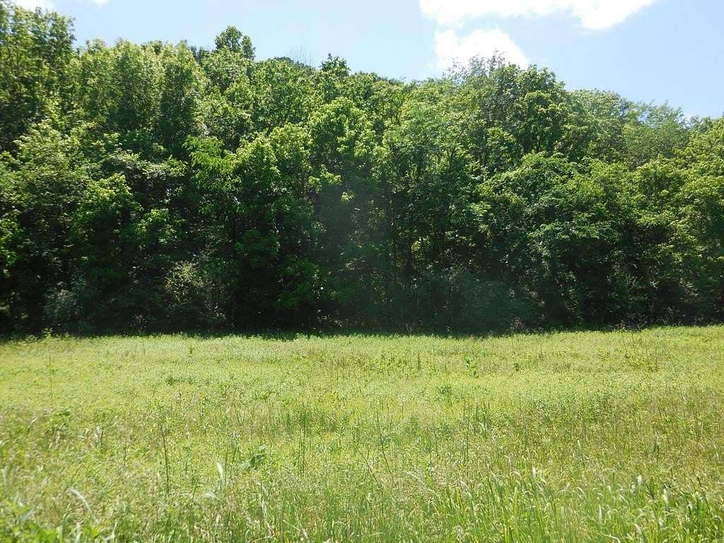 10.8 Acres of Land for Sale in Gainesboro, Tennessee