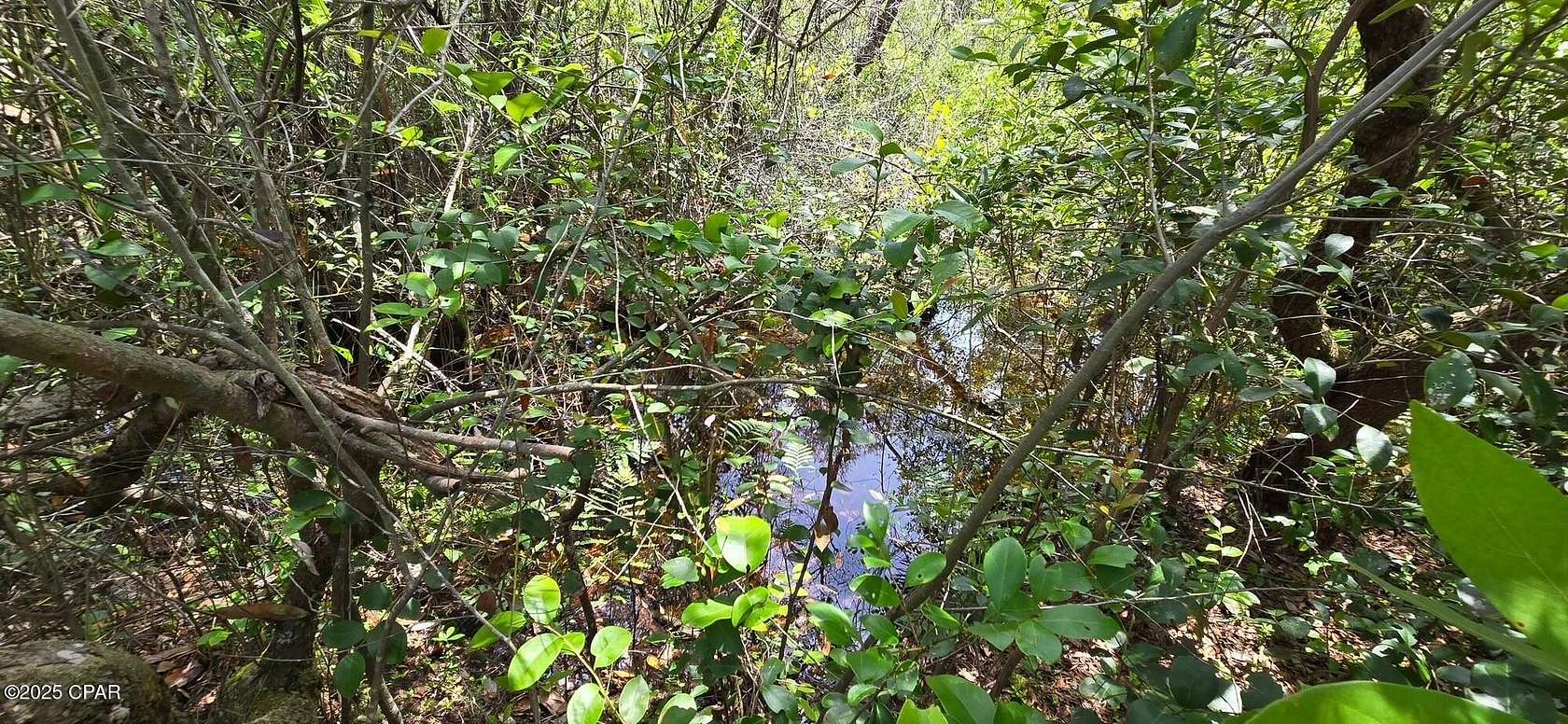 0.23 Acres of Residential Land for Sale in Chipley, Florida