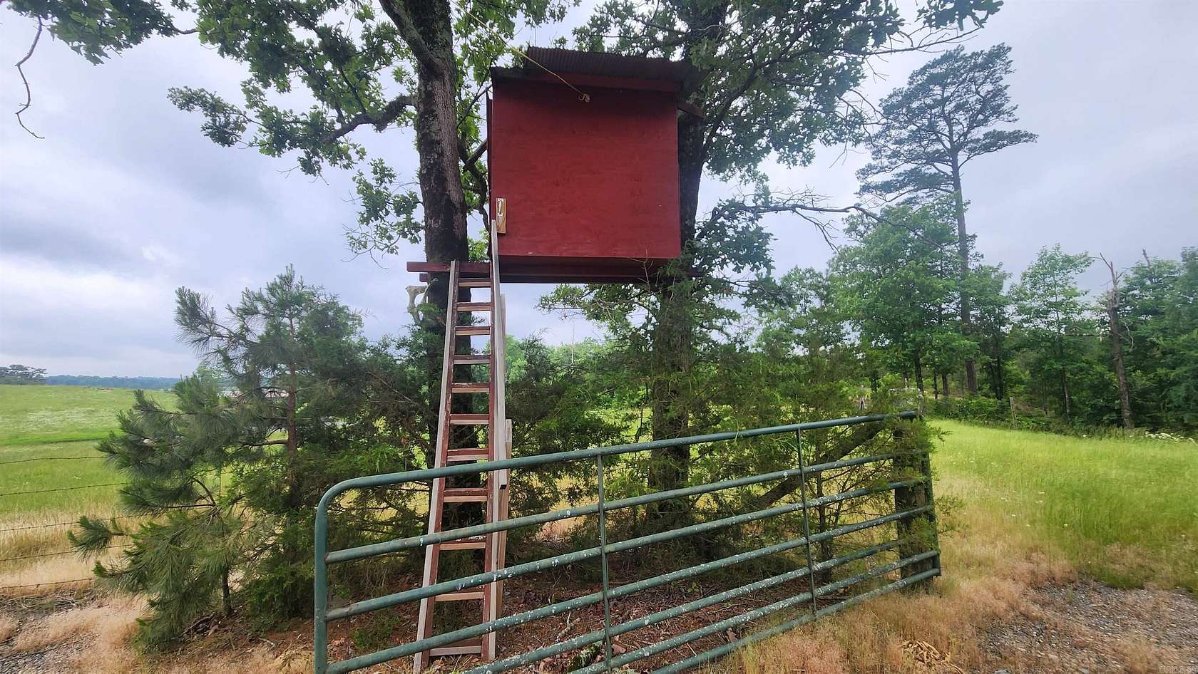 17.2 Acres of Recreational Land for Sale in Norman, Arkansas