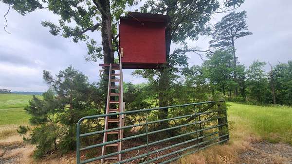 17.2 Acres of Recreational Land for Sale in Norman, Arkansas