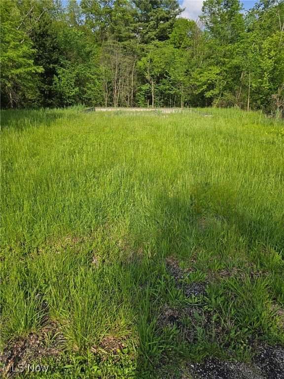 0.52 Acres of Residential Land for Sale in Alliance, Ohio