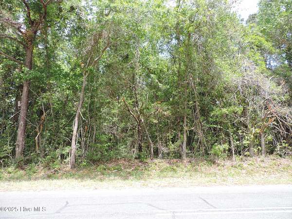 18.8 Acres of Land for Sale in New Bern, North Carolina