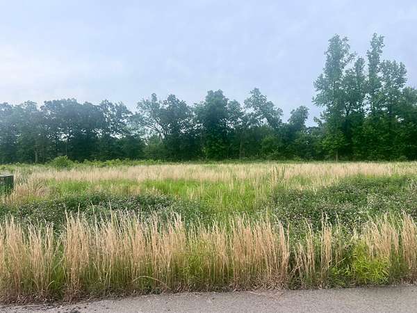1 Acre of Residential Land for Sale in Savannah, Tennessee