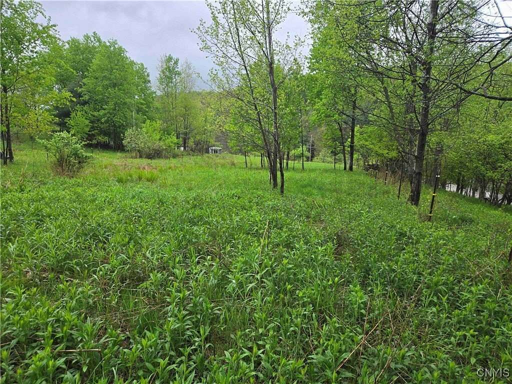 4.5 Acres of Residential Land for Sale in Little Genesee, New York