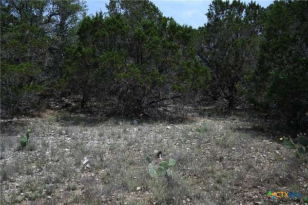 0.2 Acres of Residential Land for Sale in Spring Branch, Texas