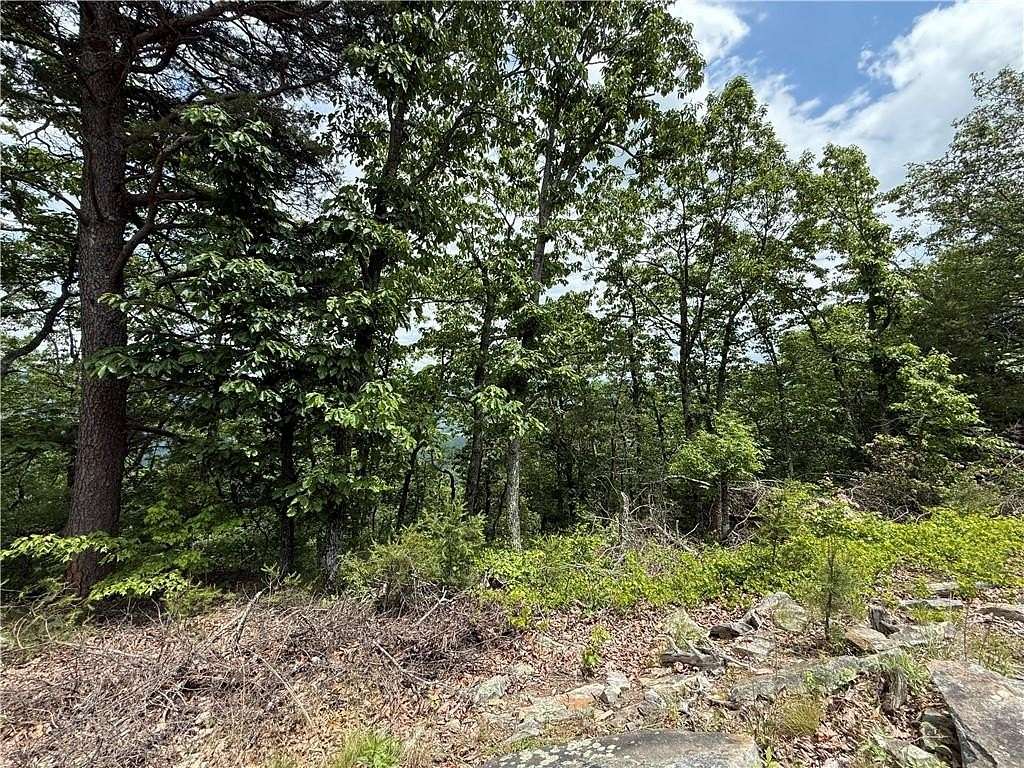 0.64 Acres of Residential Land for Sale in Menlo, Georgia