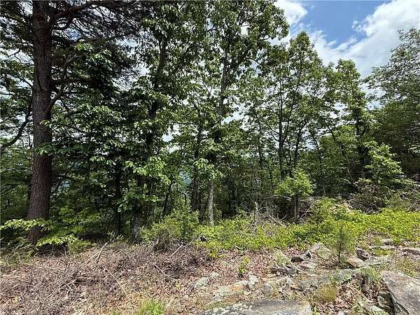 0.64 Acres of Residential Land for Sale in Menlo, Georgia