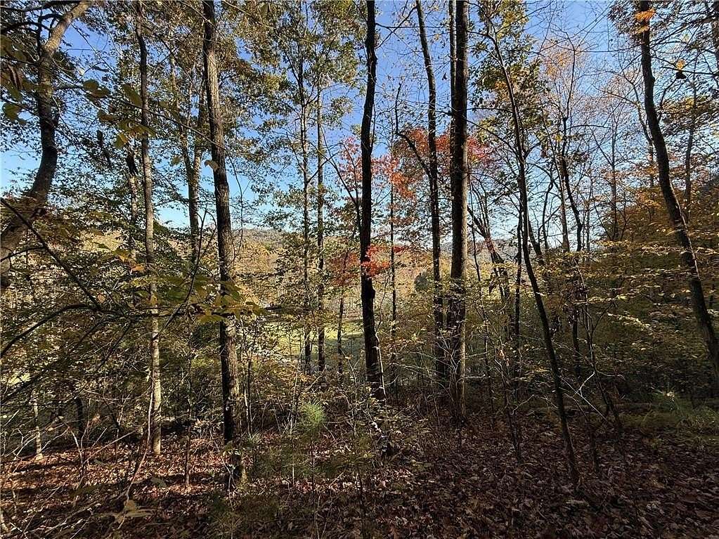 35.3 Acres of Land for Sale in Rabun Gap, Georgia