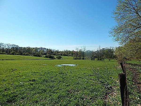 72 Acres of Land for Sale in Leonard, Michigan