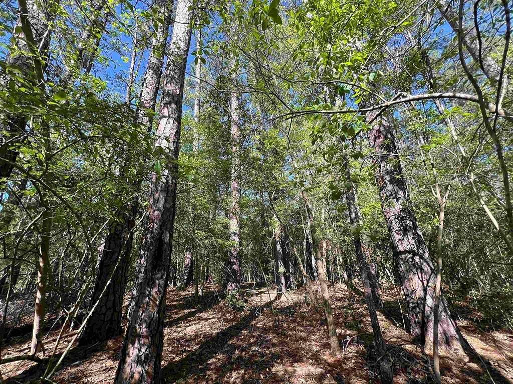 0.23 Acres of Residential Land for Sale in Brookeland, Texas