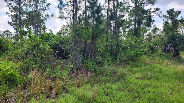 0.25 Acres of Land for Sale in Lehigh Acres, Florida