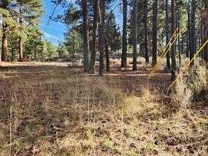 1.68 Acres of Residential Land for Sale in Chiloquin, Oregon