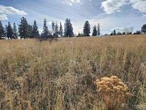 0.48 Acres of Land for Sale in Chiloquin, Oregon