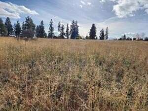 0.48 Acres of Residential Land for Sale in Chiloquin, Oregon