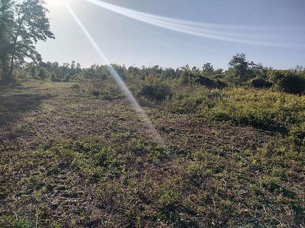 30 Acres of Land for Sale in Mayo, Florida