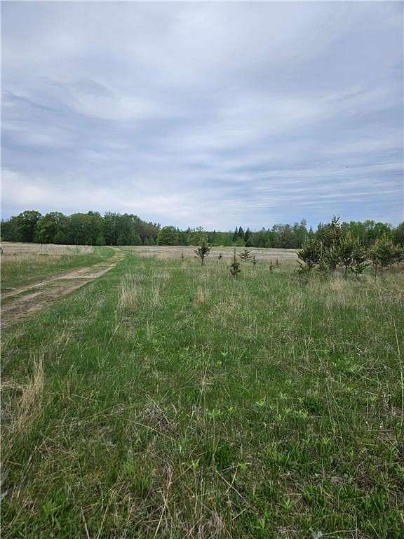 20.5 Acres of Agricultural Land for Sale in Sylvan Township, Minnesota
