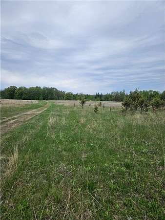 20.5 Acres of Agricultural Land for Sale in Sylvan Township, Minnesota