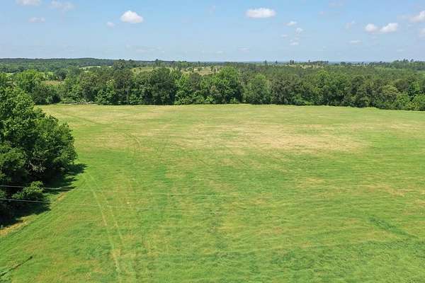 38.6 Acres of Agricultural Land for Sale in Palestine, Texas