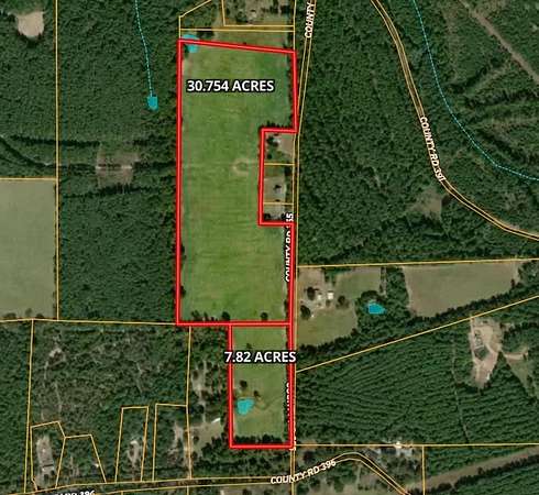 38.6 Acres of Agricultural Land for Sale in Palestine, Texas