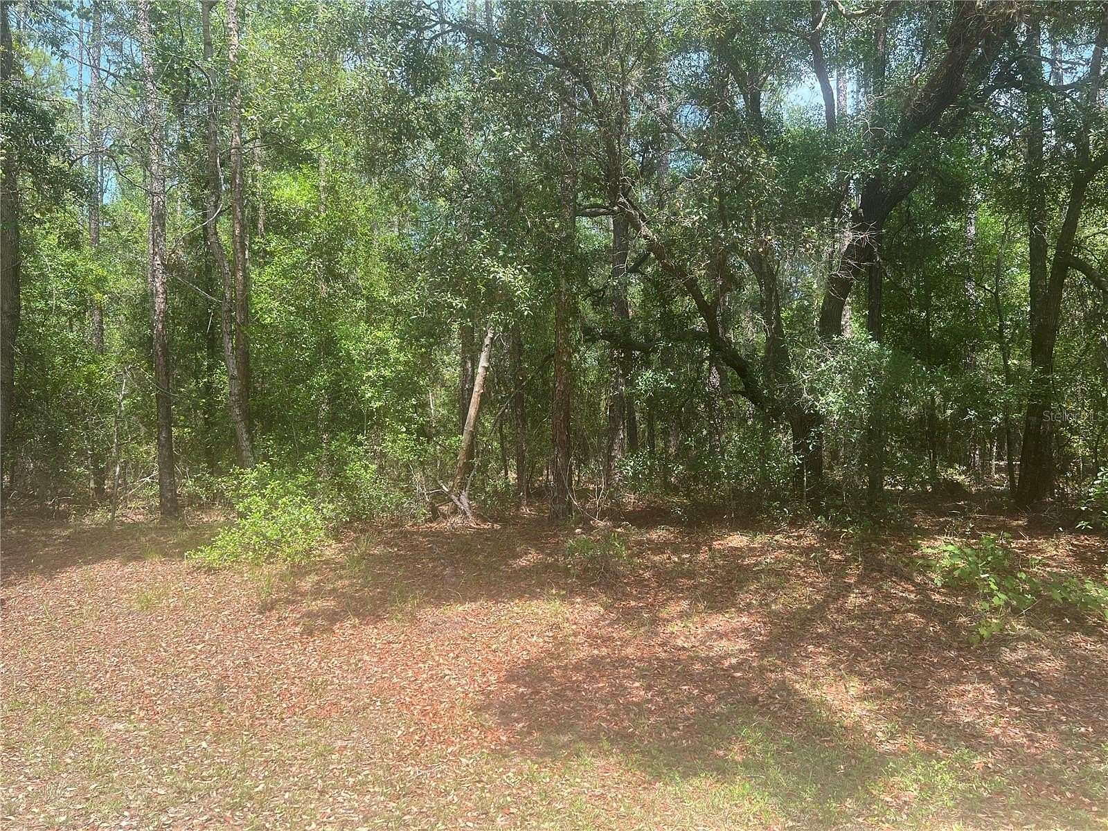 0.26 Acres of Residential Land for Sale in Dunnellon, Florida