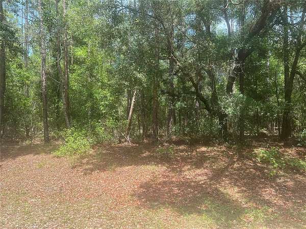 0.26 Acres of Residential Land for Sale in Dunnellon, Florida