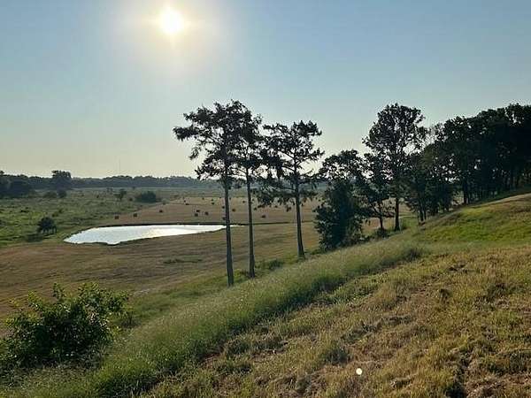 31.5 Acres of Agricultural Land for Sale in Shreveport, Louisiana