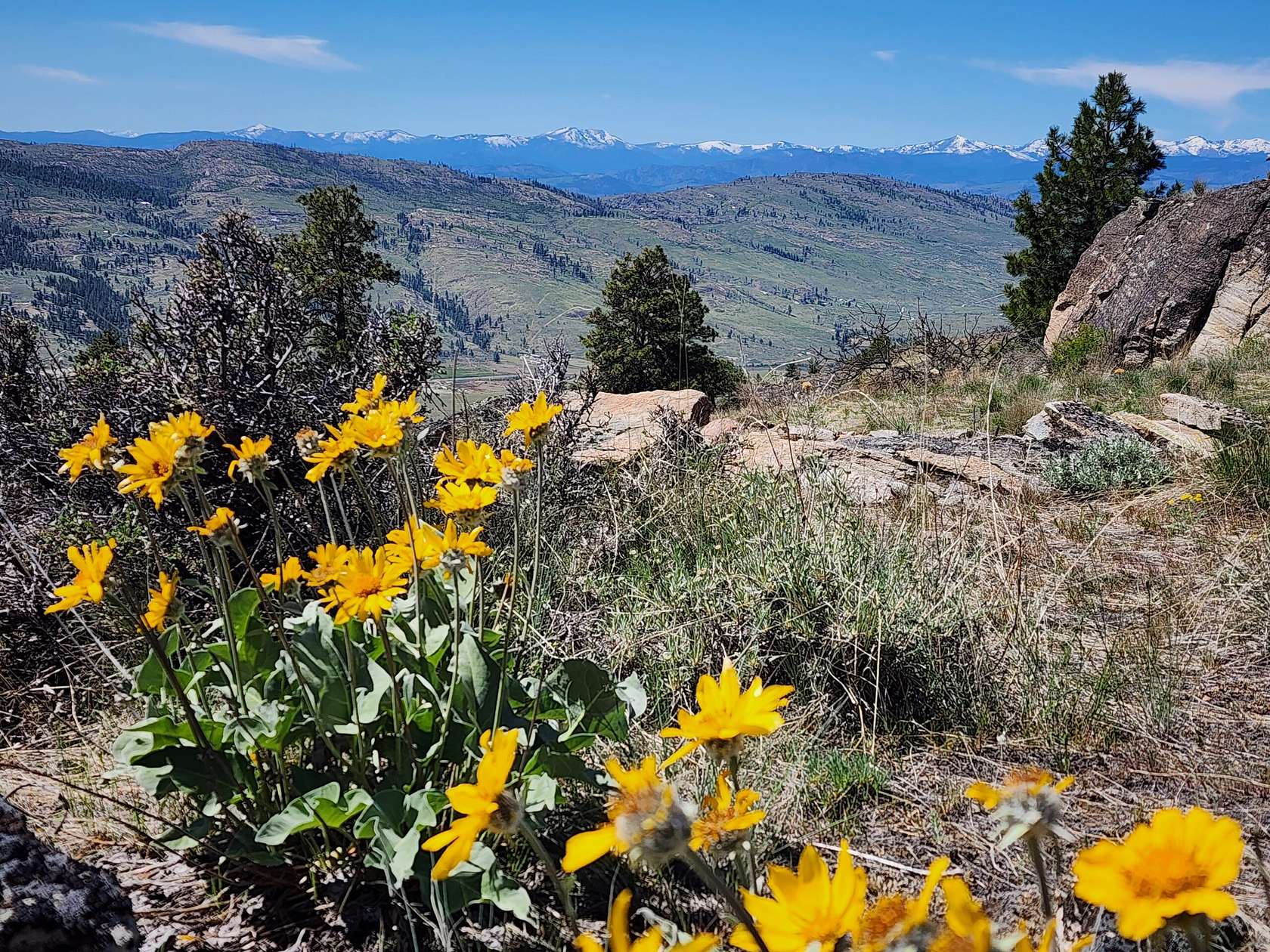 558 Acres of Recreational Land with Home for Sale in Tonasket, Washington