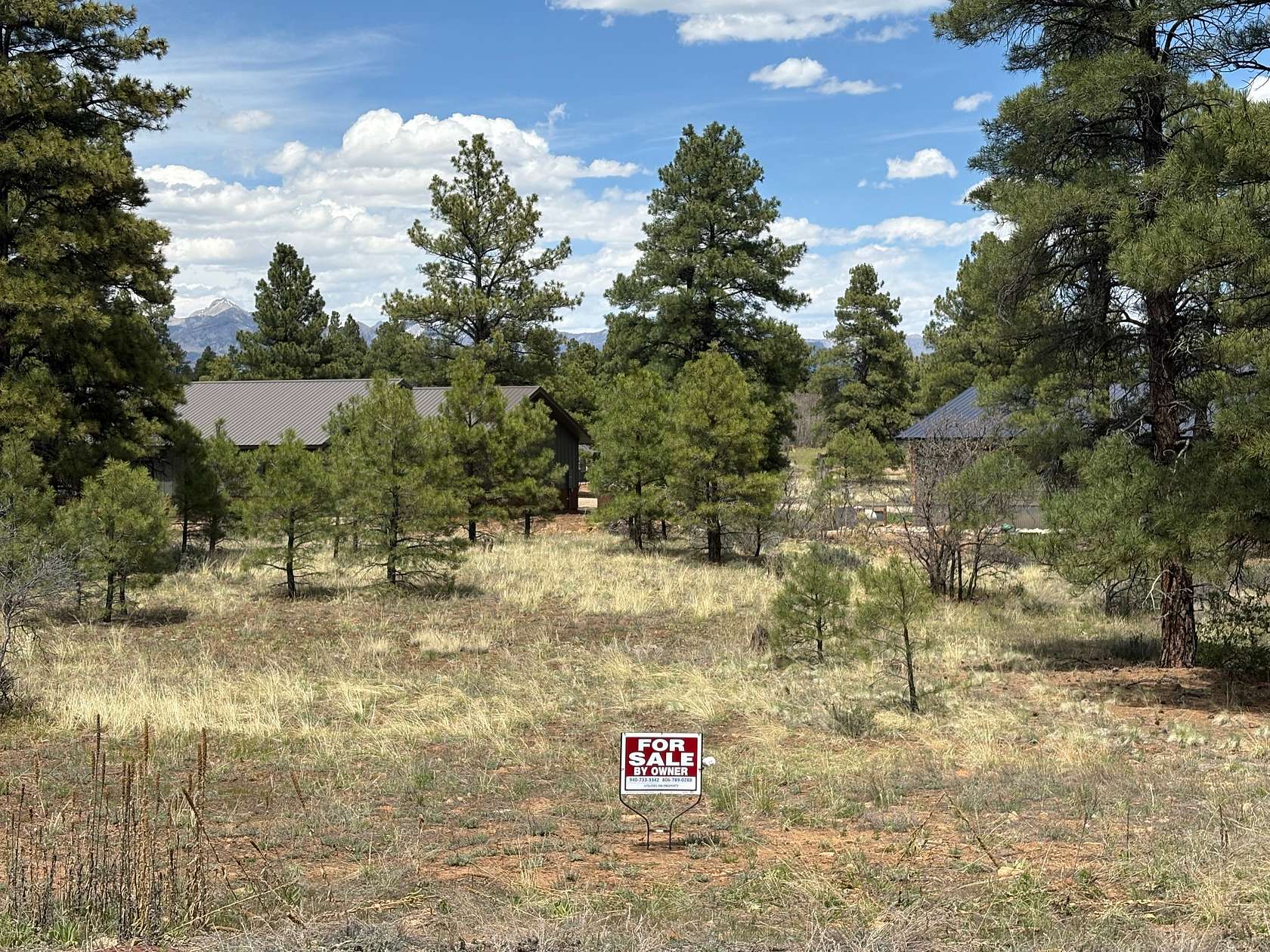 0.36 Acres of Residential Land for Sale in Pagosa Springs, Colorado