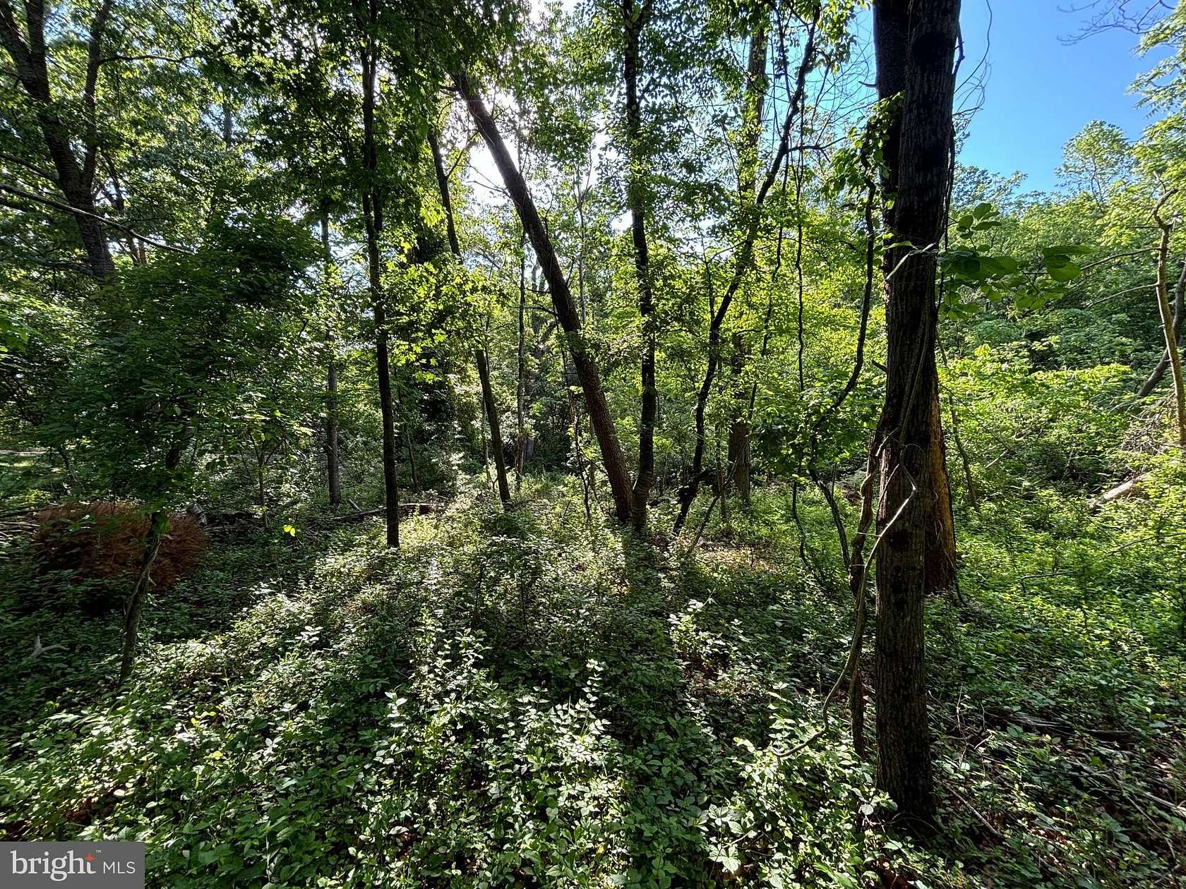 0.57 Acres of Residential Land for Sale in Boyce, Virginia