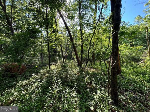 0.57 Acres of Residential Land for Sale in Boyce, Virginia