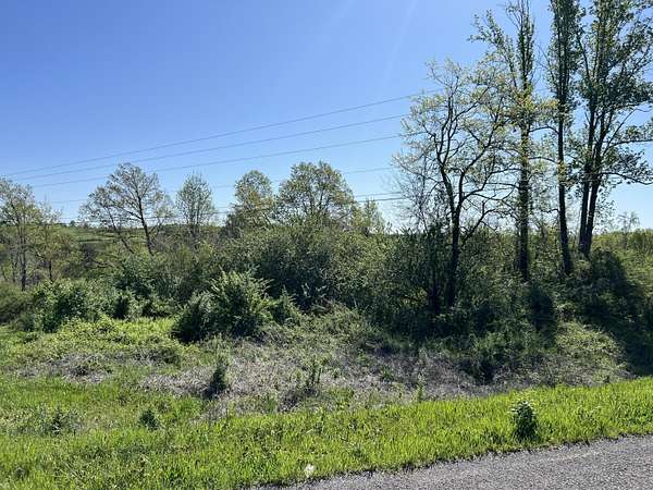 12.3 Acres of Land for Sale in Addison, Alabama