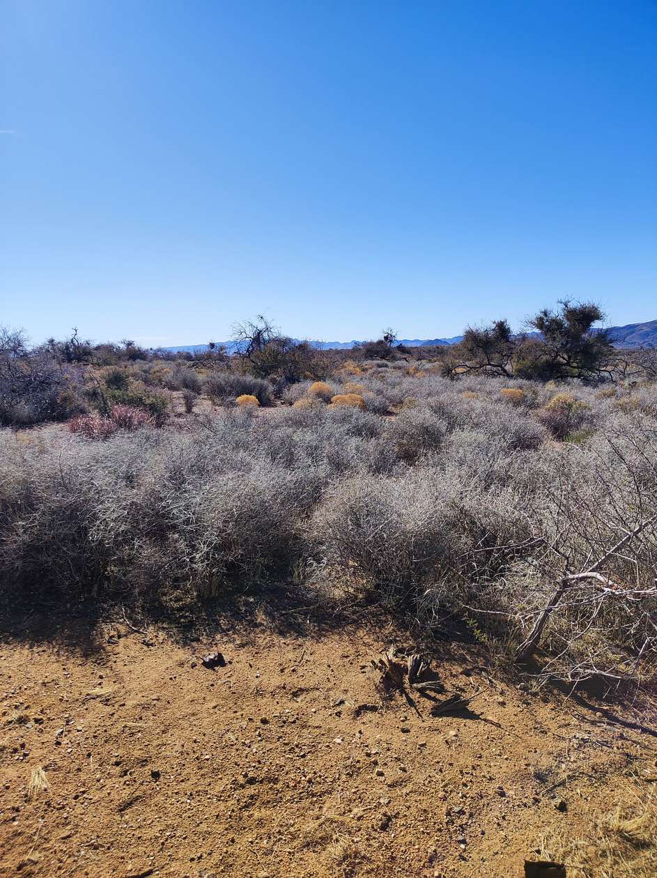 0.13 Acres of Residential Land for Sale in Chloride, Arizona