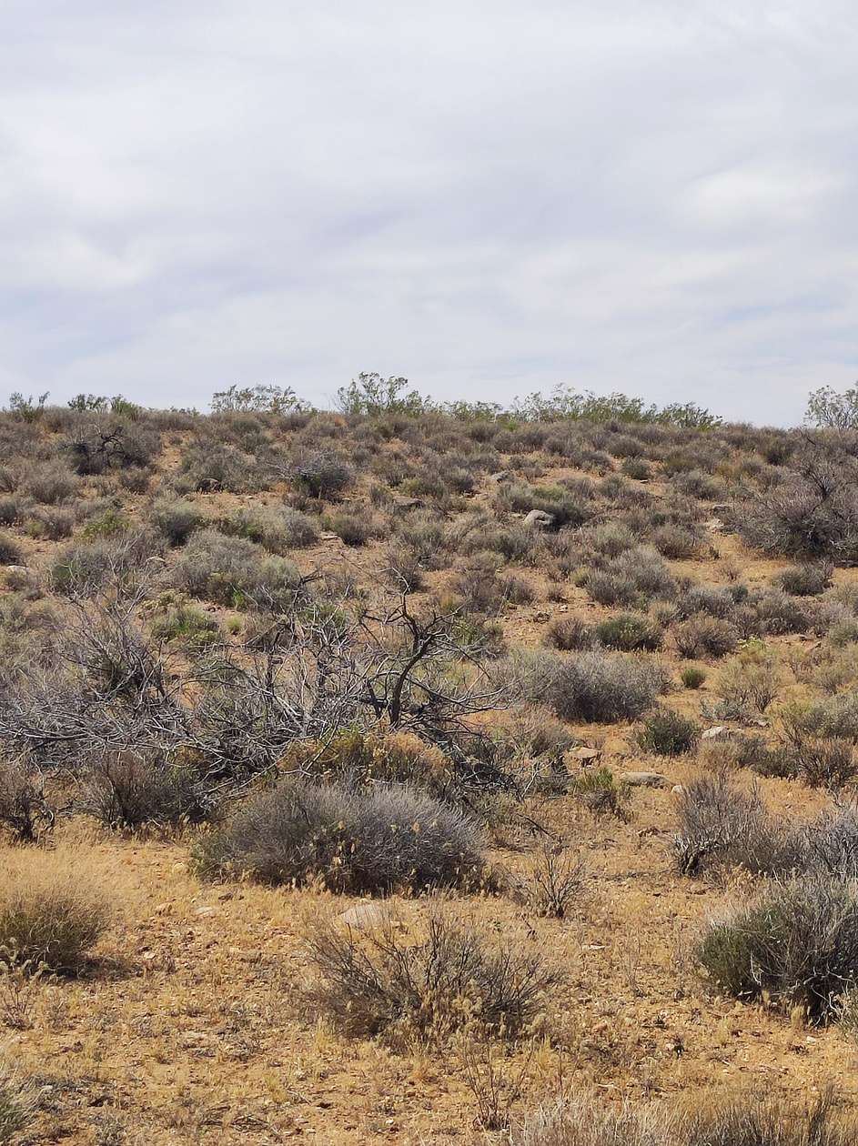 0.13 Acres of Residential Land for Sale in Chloride, Arizona