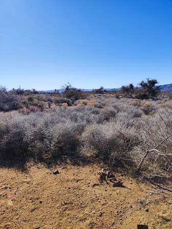 0.13 Acres of Residential Land for Sale in Chloride, Arizona
