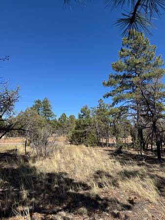 4.58 Acres of Land for Sale in Los Ojos, New Mexico