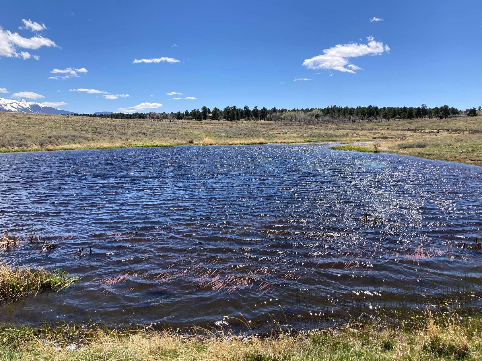 40.6 Acres of Recreational Land & Farm for Sale in Placerville, Colorado