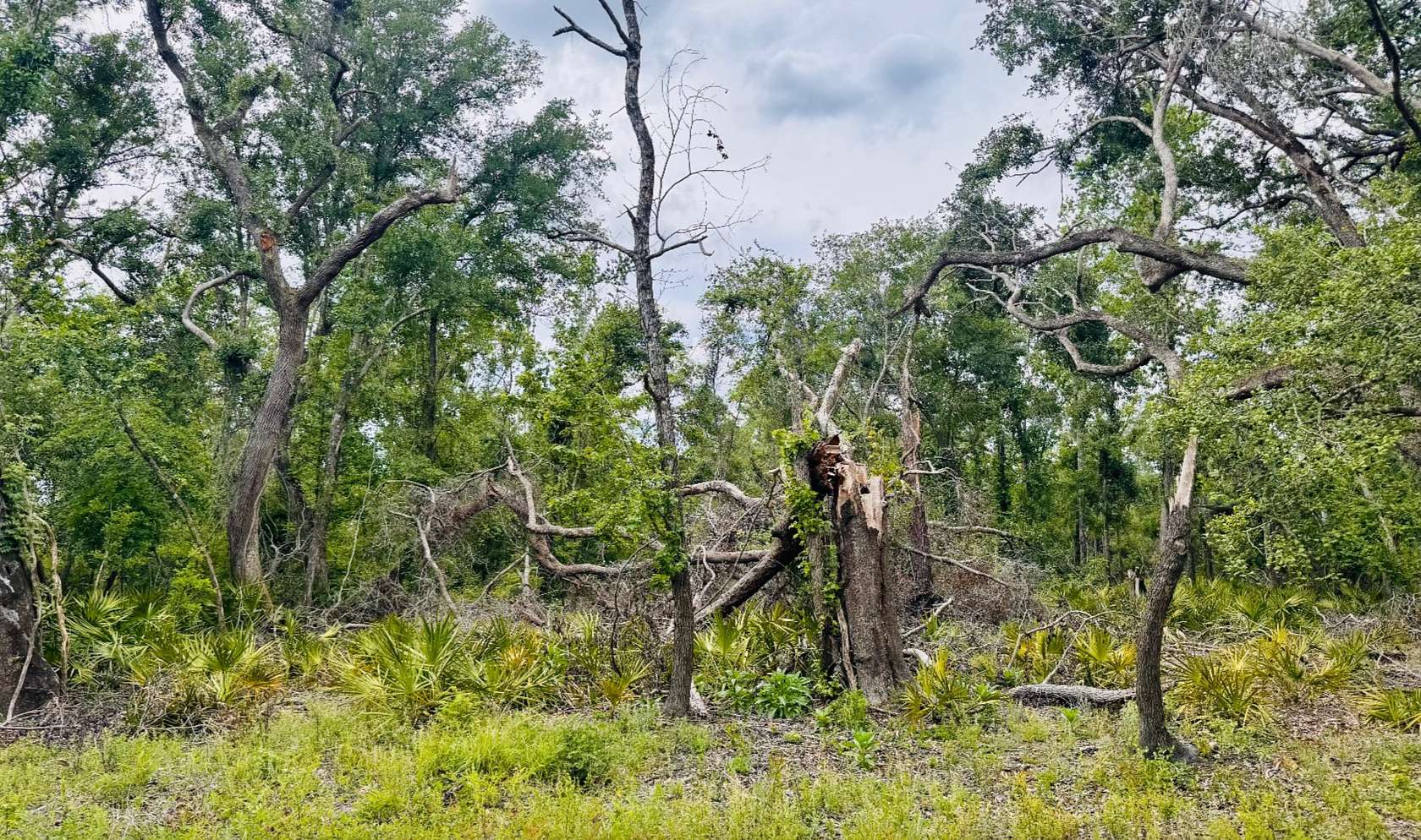 0.62 Acres of Land for Sale in Jasper, Florida